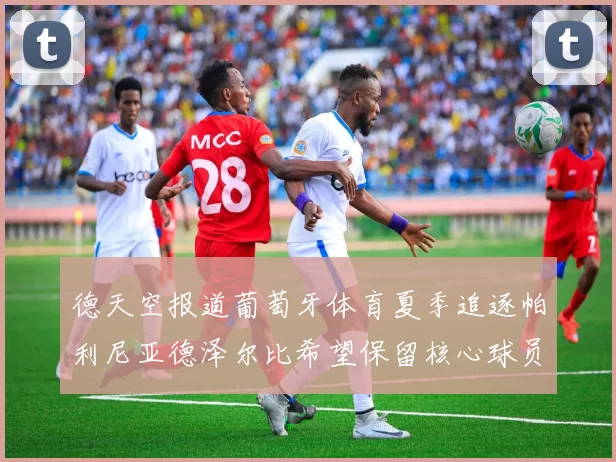德天空报道葡萄牙体育夏季追逐帕利尼亚德泽尔比希望保留核心球员